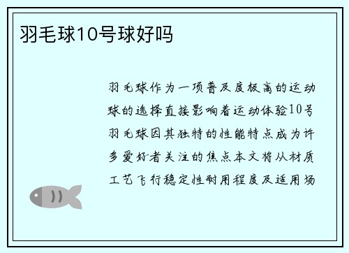 羽毛球10号球好吗